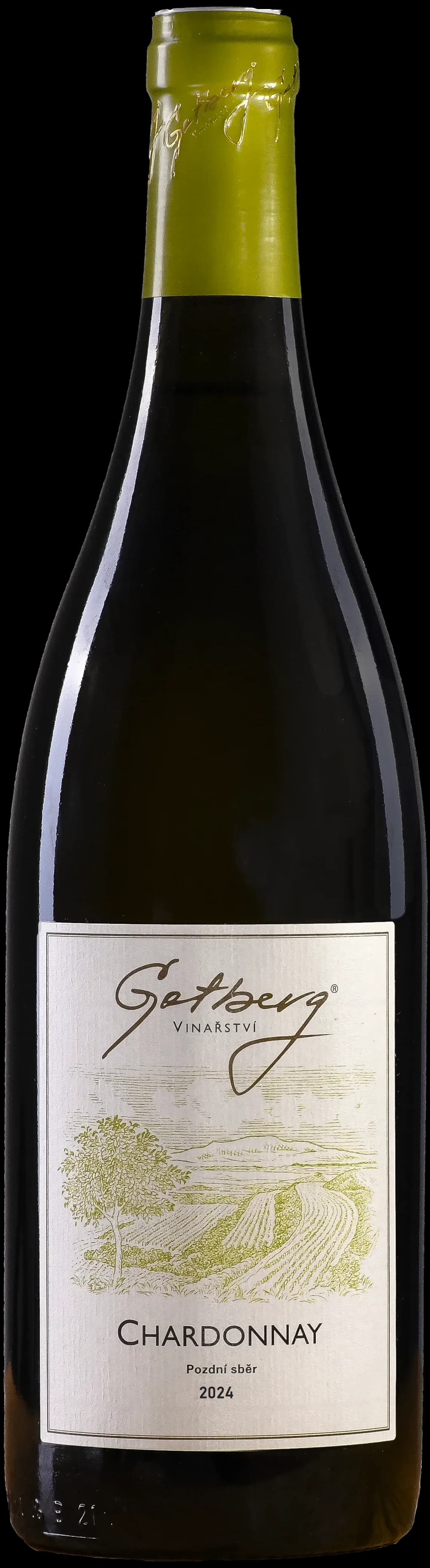 Chardonnay, pozdní sběr 2024