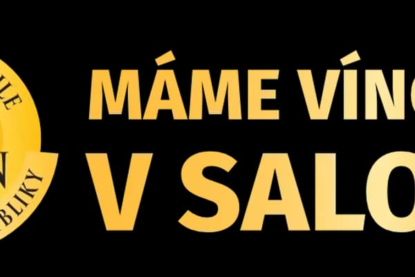 salon-2026-grafika-pro-vina-e-n-pis-02.webp